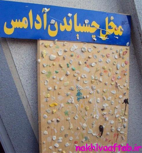 عکس های بامزه از سوتی ها و اتفاقات جالب ایرانی