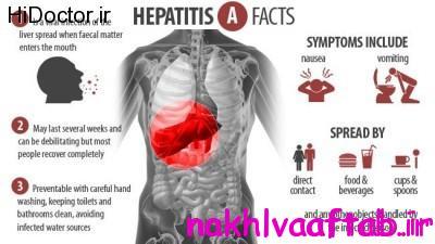 What-is-hepatitis-A-Causes-Symptoms-and-Treatment